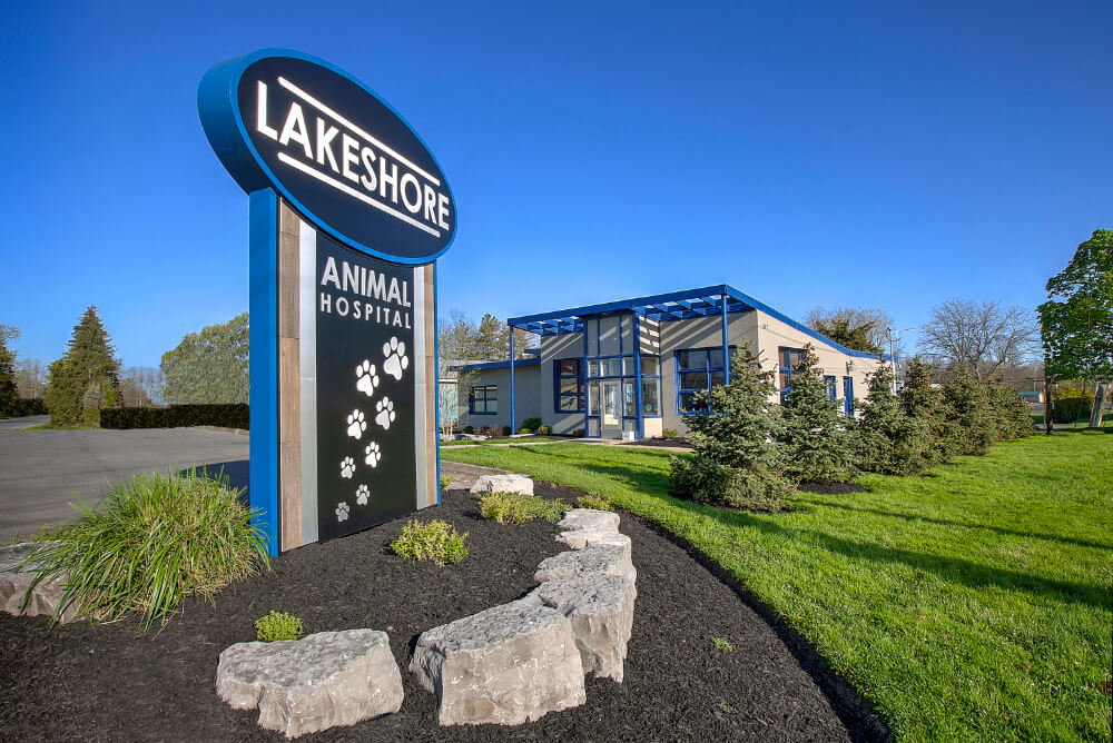 Veterinary hospital in Geneva