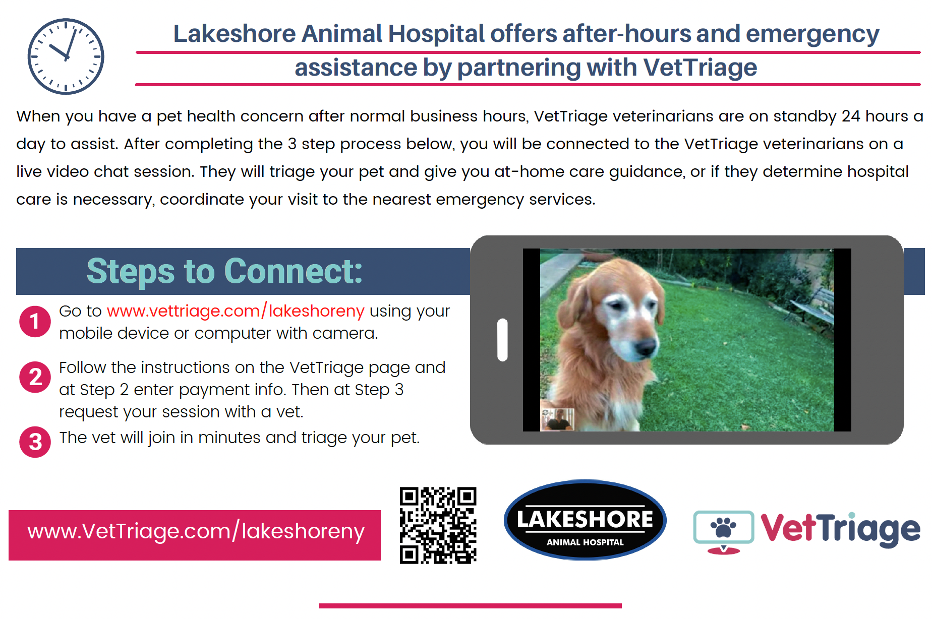 VetTriage Flyer
