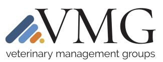 VMG Logo