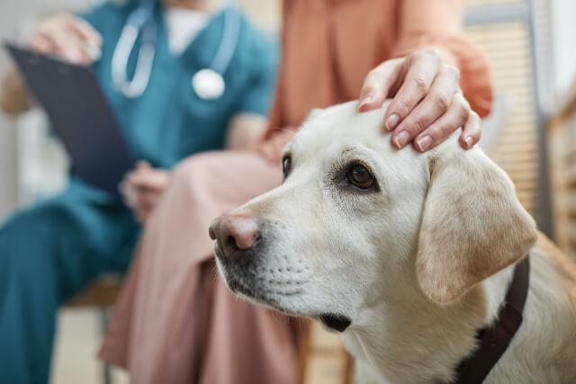 Preventative Care